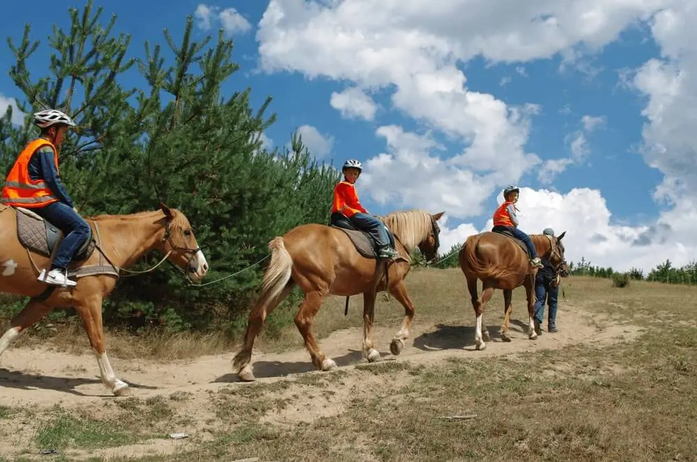 Summer camp for kids