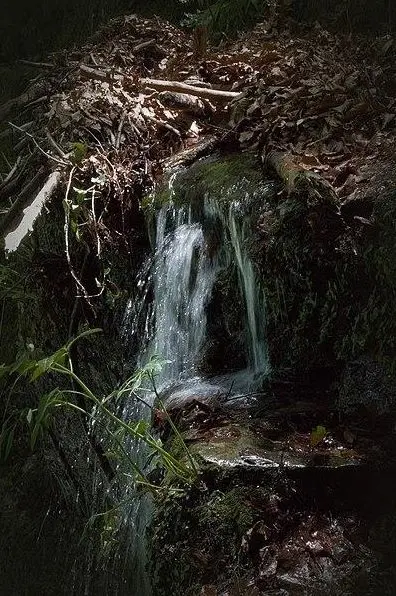 Mineral water springs in and around Eleshnitsa