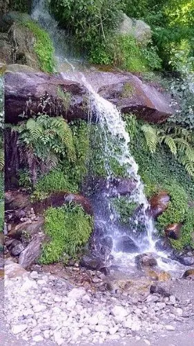 Mineral water springs in and around Eleshnitsa