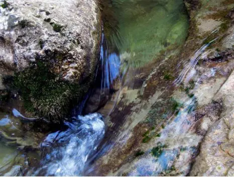 Mineral water springs in and around Eleshnitsa