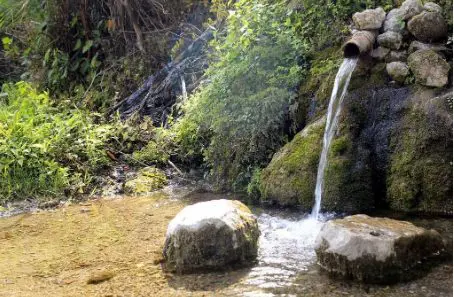 Mineral water springs in and around Eleshnitsa