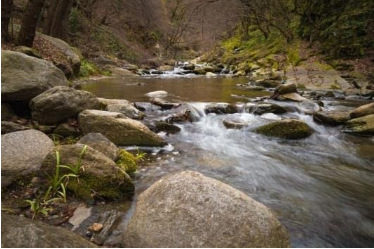 Mineral water springs in and around Eleshnitsa