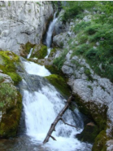 Fishing in Belitsa