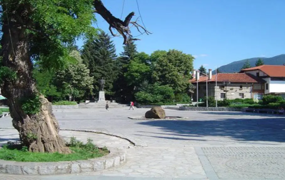 Improving the vegetation of Bansko