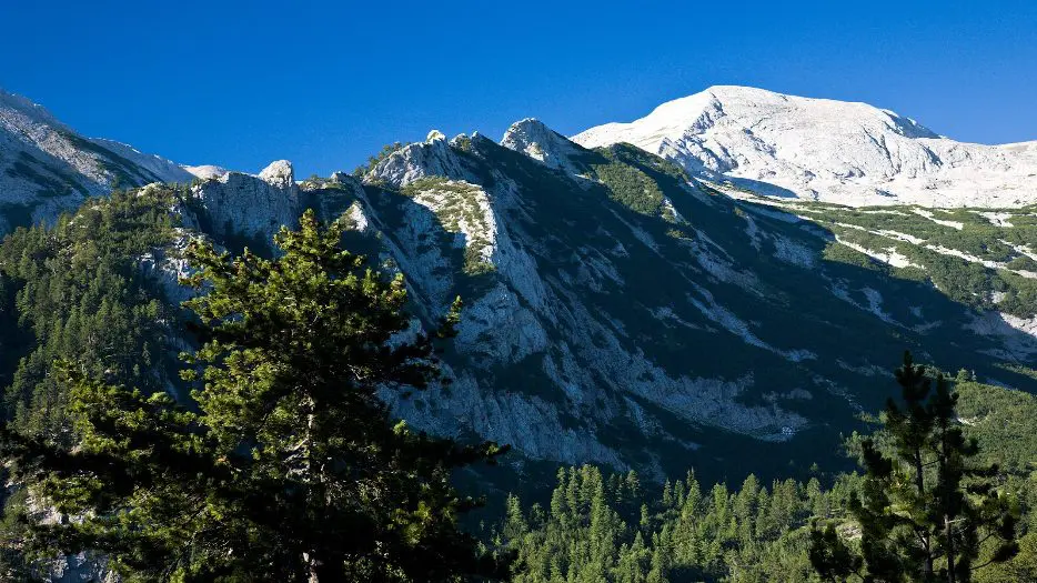 Path to the kingdom of edelweiss